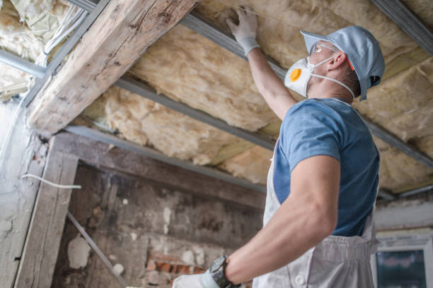Best Insulation Installation Services in Anson, TX