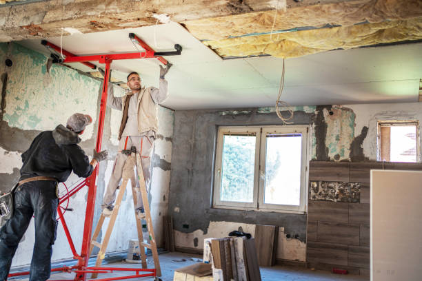Best Insulation Installation Services in Anson, TX